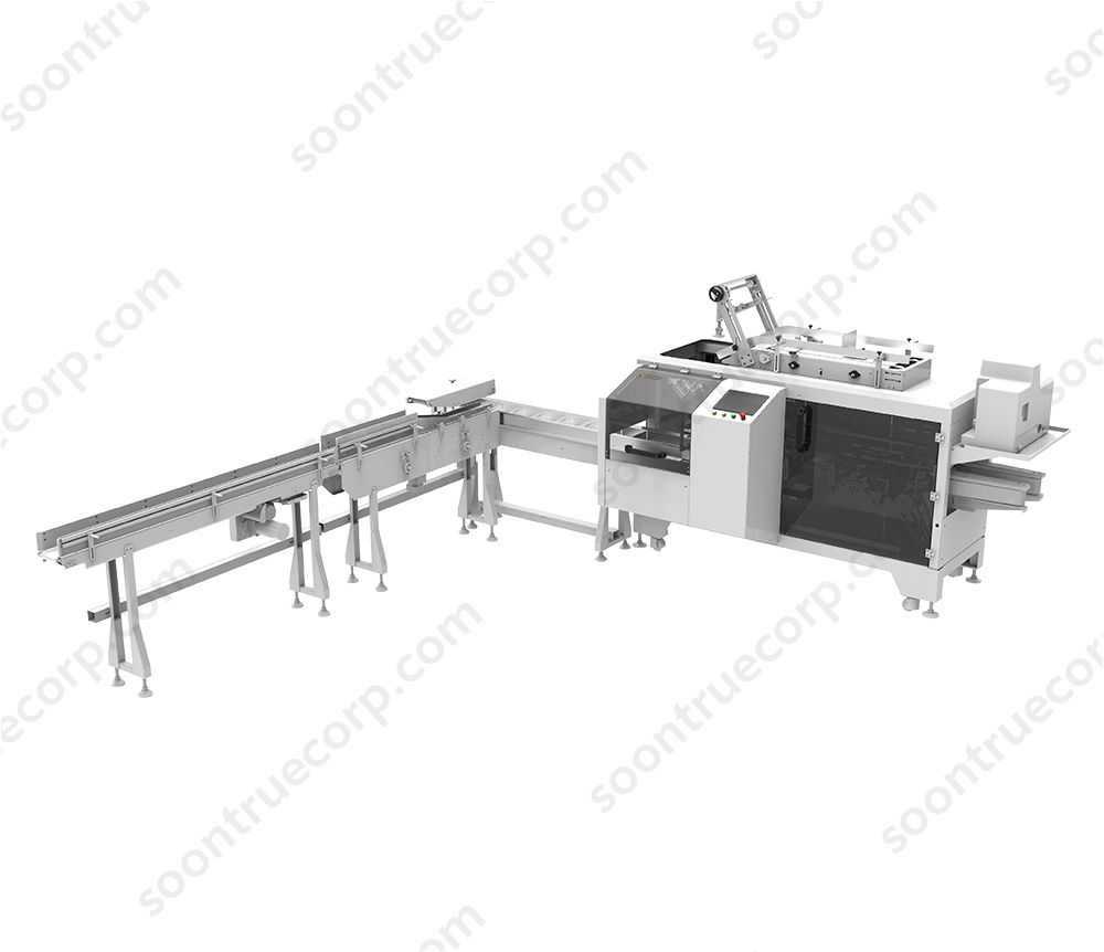 ZH200 Box Tissue Packing Machine