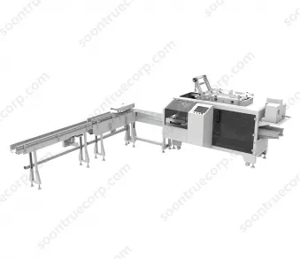 ZH200 Box Tissue Packing Machine
