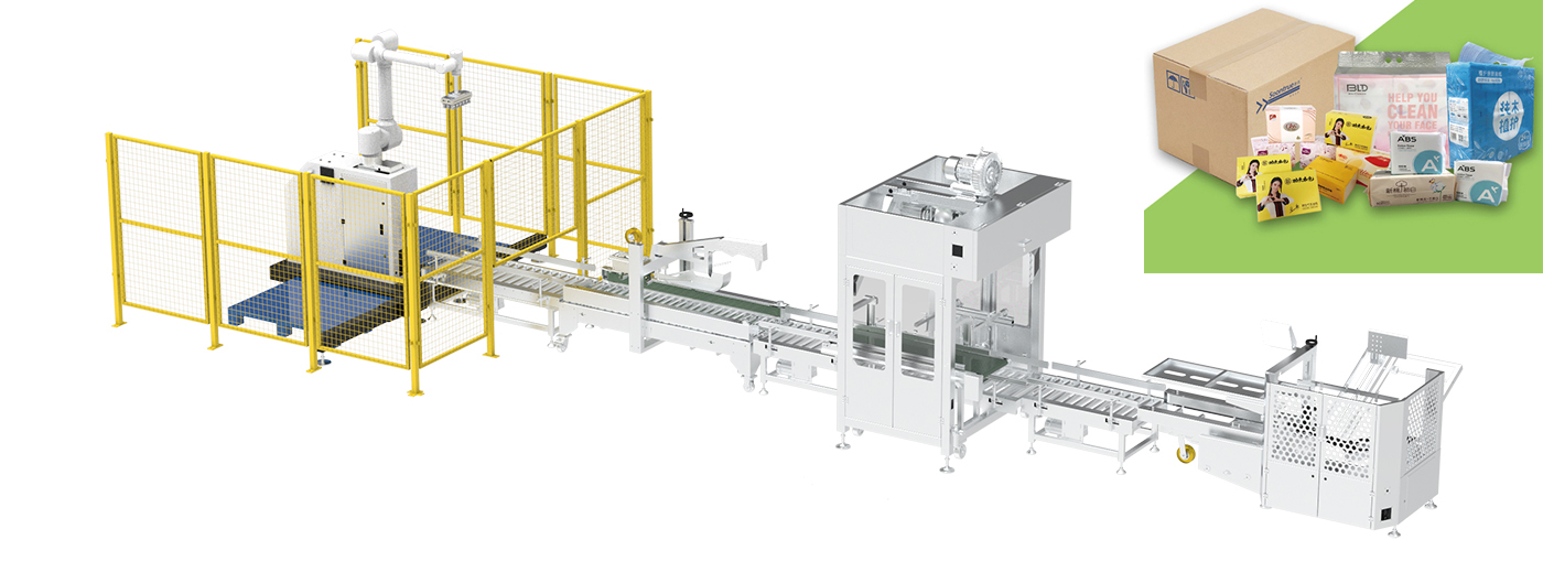 Full Automatic Carton Packing And Stacking System