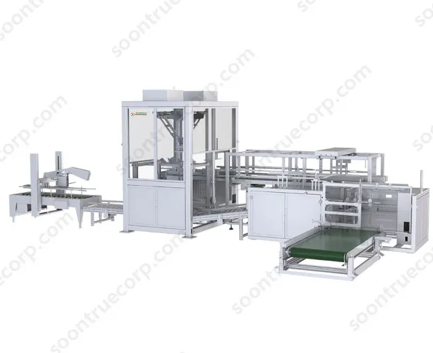 Full Automatic Manipulator Carton Packing Machine ZX660B